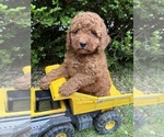 Image preview for Ad Listing. Nickname: Benson