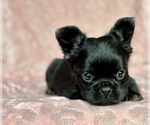 Image preview for Ad Listing. Nickname: Jasmine