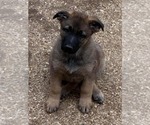 Image preview for Ad Listing. Nickname: Calypso