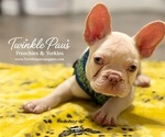 Image preview for Ad Listing. Nickname: Cinco