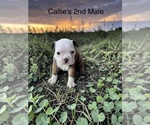 Image preview for Ad Listing. Nickname: 2nd Male