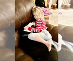 Small Photo #27 Mutt Puppy For Sale in Mount Laurel, NJ, USA