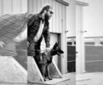 Small Photo #1 Belgian Malinois Puppy For Sale in ENGLEWOOD, CO, USA
