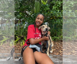 Mutt Dogs for adoption in Sanford, FL, USA