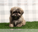 Image preview for Ad Listing. Nickname: Jess