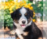 Image preview for Ad Listing. Nickname: Tyler