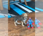 Image preview for Ad Listing. Nickname: Forrest ChiShi
