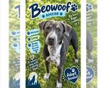 BEOWOOF - Male Mutt Dog for Adoption - Small photo