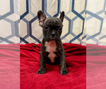 Image preview for Ad Listing. Nickname: Stella