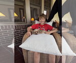 Small #2 Shih Tzu Mix