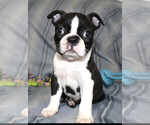Image preview for Ad Listing. Nickname: Knoxx