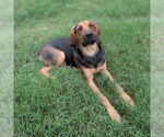 Small #9 Mutt
