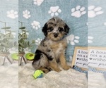 Image preview for Ad Listing. Nickname: Benny