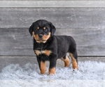 Image preview for Ad Listing. Nickname: Heidi