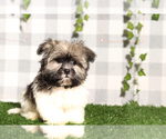 Image preview for Ad Listing. Nickname: Gary