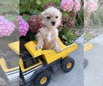Image preview for Ad Listing. Nickname: Albert