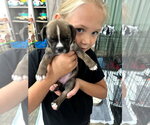 Small #2 Mutt