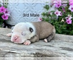 Image preview for Ad Listing. Nickname: 3rd Male