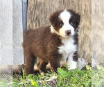 Image preview for Ad Listing. Nickname: Theo