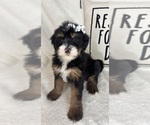 Image preview for Ad Listing. Nickname: Macy