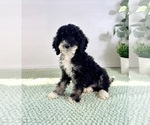Image preview for Ad Listing. Nickname: Salem