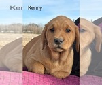 Image preview for Ad Listing. Nickname: Kenny