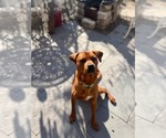 Small #3 Breeder Profile image