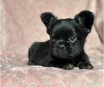 Image preview for Ad Listing. Nickname: Jasmine
