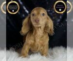 Image preview for Ad Listing. Nickname: Penny