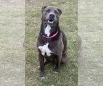 Small #51 Blue Lacy Mix