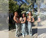 Small Photo #1 Maltipoo (Toy) Puppy For Sale in MANHATTAN BEACH, CA, USA