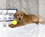 Small #2 Golden Retriever