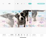 Small #2 Breeder Profile image