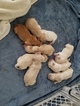 Small Photo #5 Goldendoodle Puppy For Sale in DALLAS, GA, USA