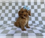 Image preview for Ad Listing. Nickname: Fancy