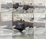 Image preview for Ad Listing. Nickname: ShallaBal