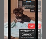 Image preview for Ad Listing. Nickname: Kaliber