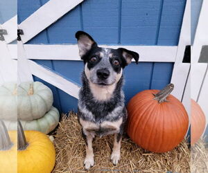 Main medium Rescue Organization Photo