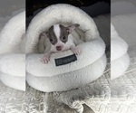 Image preview for Ad Listing. Nickname: Betsy