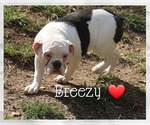 Image preview for Ad Listing. Nickname: Breezy