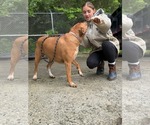 Small #1 Mutt
