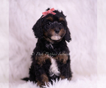 Puppy Sprinkles Poodle (Toy)