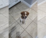 Small - Mix