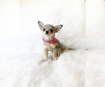 Image preview for Ad Listing. Nickname: Alaska
