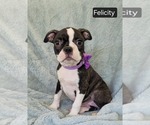 Image preview for Ad Listing. Nickname: Felicity