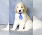 Image preview for Ad Listing. Nickname: Blue collar