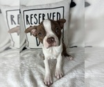 Image preview for Ad Listing. Nickname: Bonnie