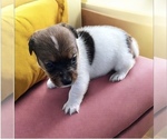 Image preview for Ad Listing. Nickname: Reese