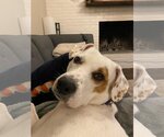 Small #2 Breeder Profile image