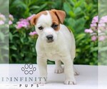 Image preview for Ad Listing. Nickname: Sally